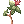 Makulrata