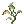 Celatom