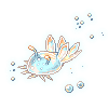 Melibe Slug